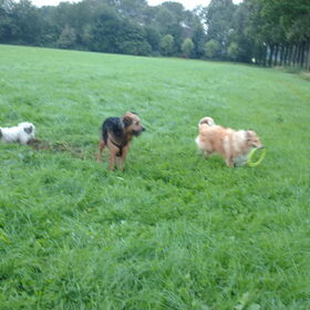 Levi's grootste vriendin. lucy de collie
