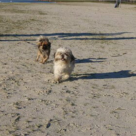 Zoey met haar mama en zusje. Zusje is de voorste...