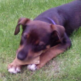 senna geboren 02-05-2007