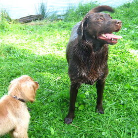 Xena meteen het water in, en mo durft niet (: