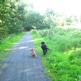 samen rennen