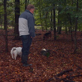 Hondenfoto van liesbeth,Turbo,Luna, Levi en Faith