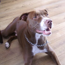 Onze lieve schat alweer 8 maanden oud!