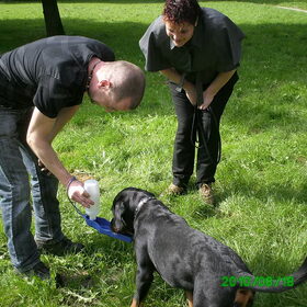 wandeling afsluiting puppencursus