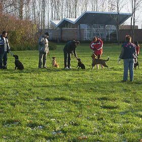 Falkor op cursus