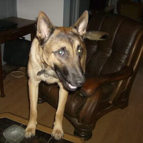 Duco 10 maanden