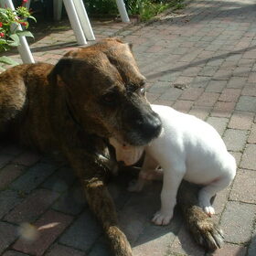 Gezellig samen