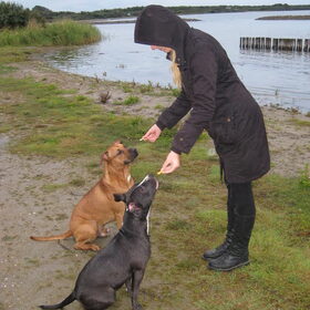 Rocky & Chelsea Zit en blijf