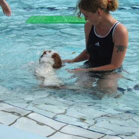 Jaaa Krimson ook in het water