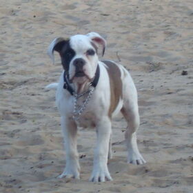 4 maanden oud!!