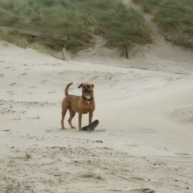 Lekker op het strand..