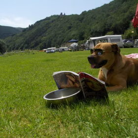 Hmm..even boekje lezen!!