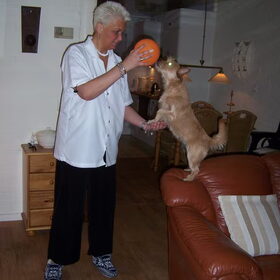spelen met de ballon