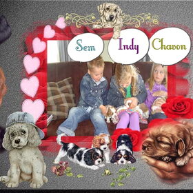 Hondenfoto van leony met Binky