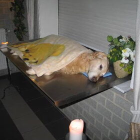mijn laatste groet aan mijn allerdierbaarste....URBAHN