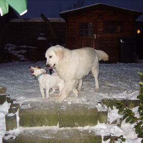 butch en spyke in de sneeuw