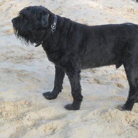 waar zit die pup nou weer,moet ook altijd alles in de gaten…