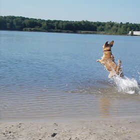 dat was vorige zomer