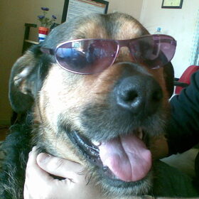 Coole Spike