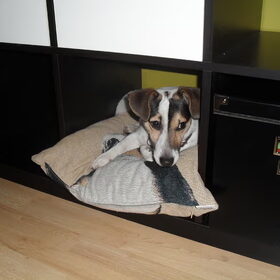 Zo'n Ikea kast is ook best een goede mand.