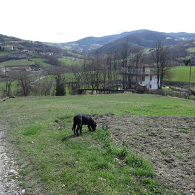 Wandelen in de bergen...