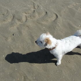 Weekendje weg, lekker op het strand!