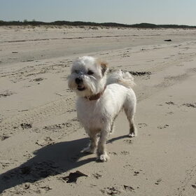 Even mooi poseren...