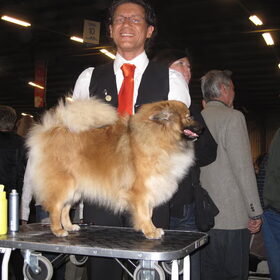 de fokker van Tara ( Miss Bessie from balgowan glory op de show…