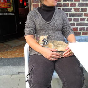 lekker op schoot bij vrouwtje we waren toen die dag in…
