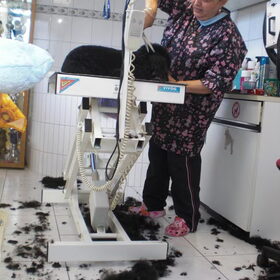 raider bij de kapper,eerste keer dat die geknipt werd