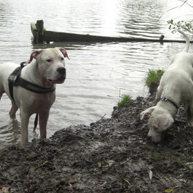Major met grote broer Igor