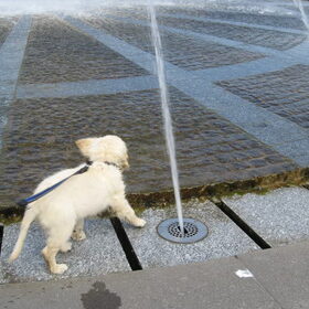 lekker spelen in het water :p