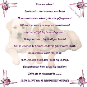 Hondenfoto van leony met Binky