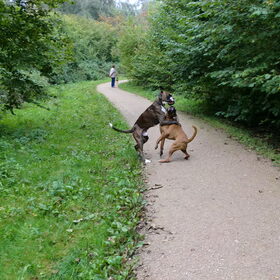 samen met zijn vriendinnetje
