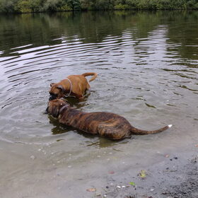 samen badderen