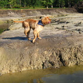 oooh wat is dat daar!