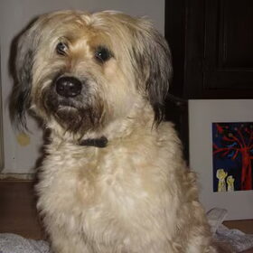 Hier is ze dan. Ze heeft nu wat korter haar maar dat groeit wel…