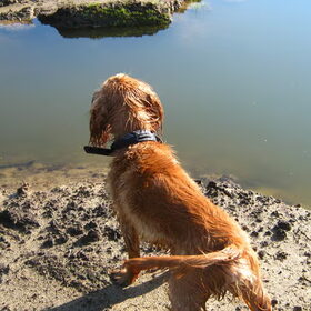 aan het water