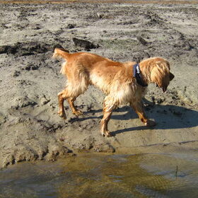 aan het water