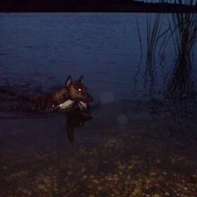 Chica swimming in the night