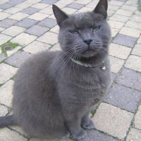 Mijn skattie Muck!!!