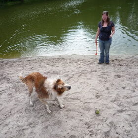 Hondenfoto van Iris + Shira! en Bibi!