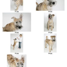 Pip en Jasmijn bij de fotograaf
