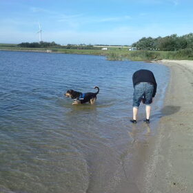 Hondenfoto van Claudia & Tank