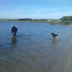 Hondenfoto van Claudia & Tank