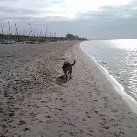 Hondenfoto van Claudia & Tank