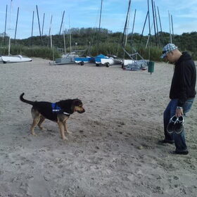 Hondenfoto van Claudia & Tank