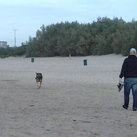 Hondenfoto van Claudia & Tank