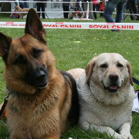 Yuttah en Sheena