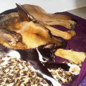 Yuttah en Zacky
